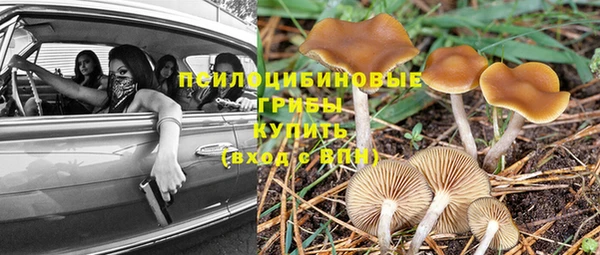 прущий лед Магадан