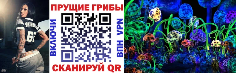 блэк спрут ссылки  Чкаловск  Галлюциногенные грибы мицелий 