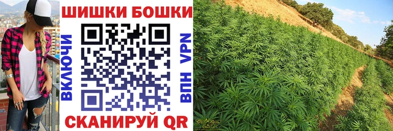 МАРИХУАНА планчик  Чкаловск 